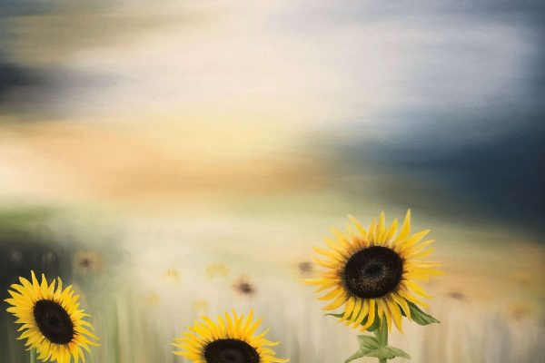 Sunflower Watercolour