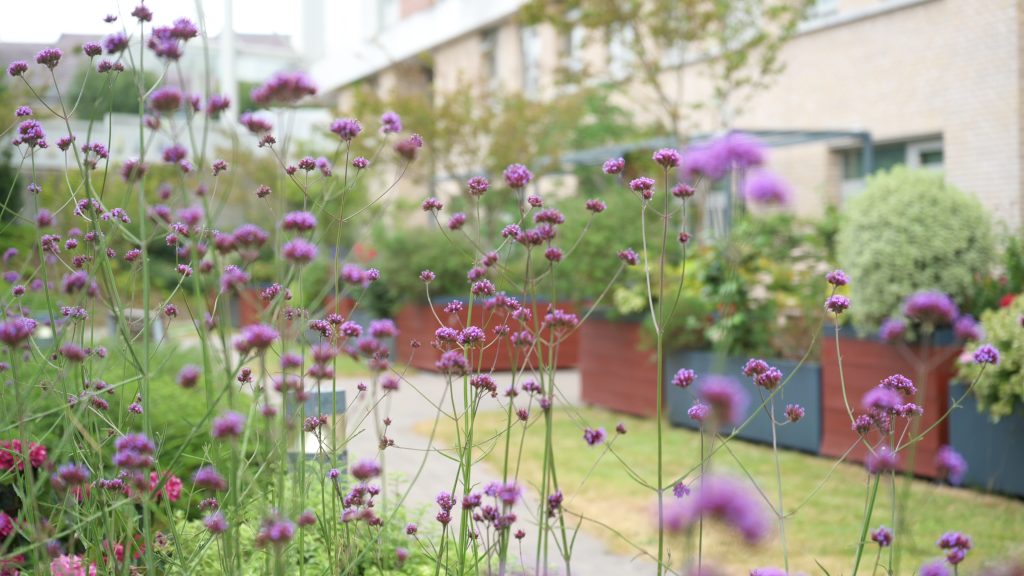 Gardens at Waterford Hospice